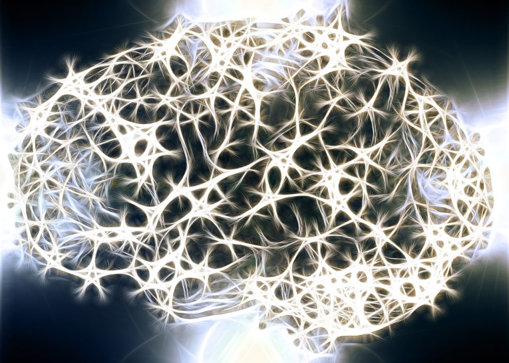neurons, brain cells, brain structure-1739997.jpg